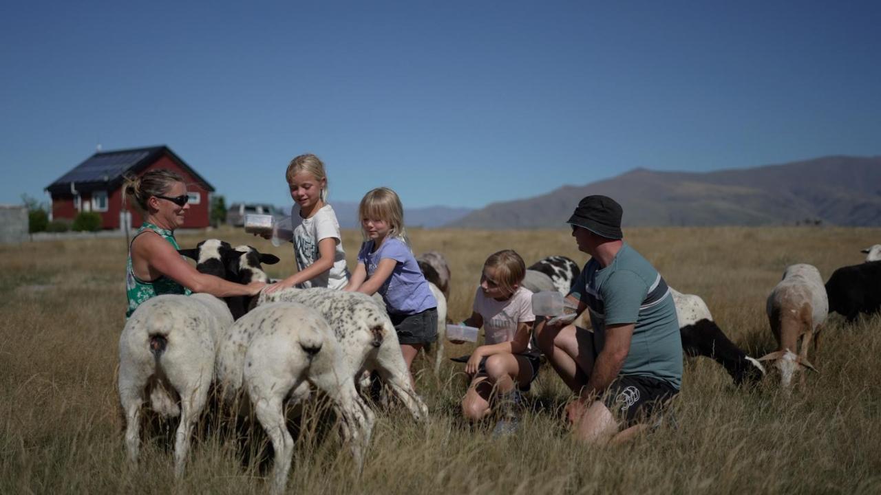 Highlands Farm Stay Twizel Esterno foto